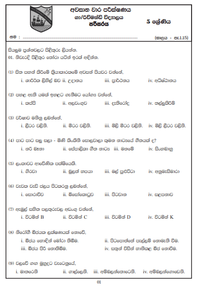 Grade 05 Environment 3rd Term Test Paper 2019 Sinhala Medium Richmond