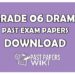 Grade 6 Drama first term test past paper download in Sinhala medium