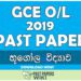 2019 O/L Geography Past Paper | Sinhala Medium