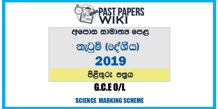 2019 O/L Dancing ( Oriental ) Marking Scheme | Sinhala Medium