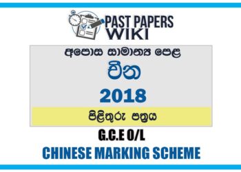 2018 O/L Chinese Marking Scheme | Sinhala Medium