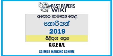 2019 O/L Korean Marking Scheme | Sinhala Medium