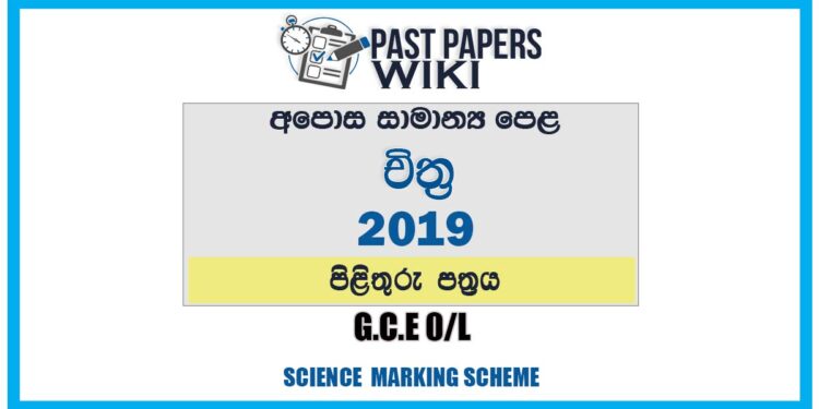 2019 O/L Art Marking Scheme | Sinhala Medium