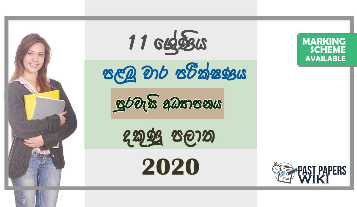 Grade 11 Citizenship Paper 2020 (1st Term Test) | Southern Province