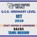 2019 O/L Information And Communication Technology Past Paper and Answers | Tamil Medium