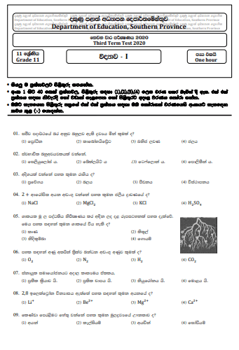 Grade 11 Science Paper 2020 (3rd Term Test) | Southern Province