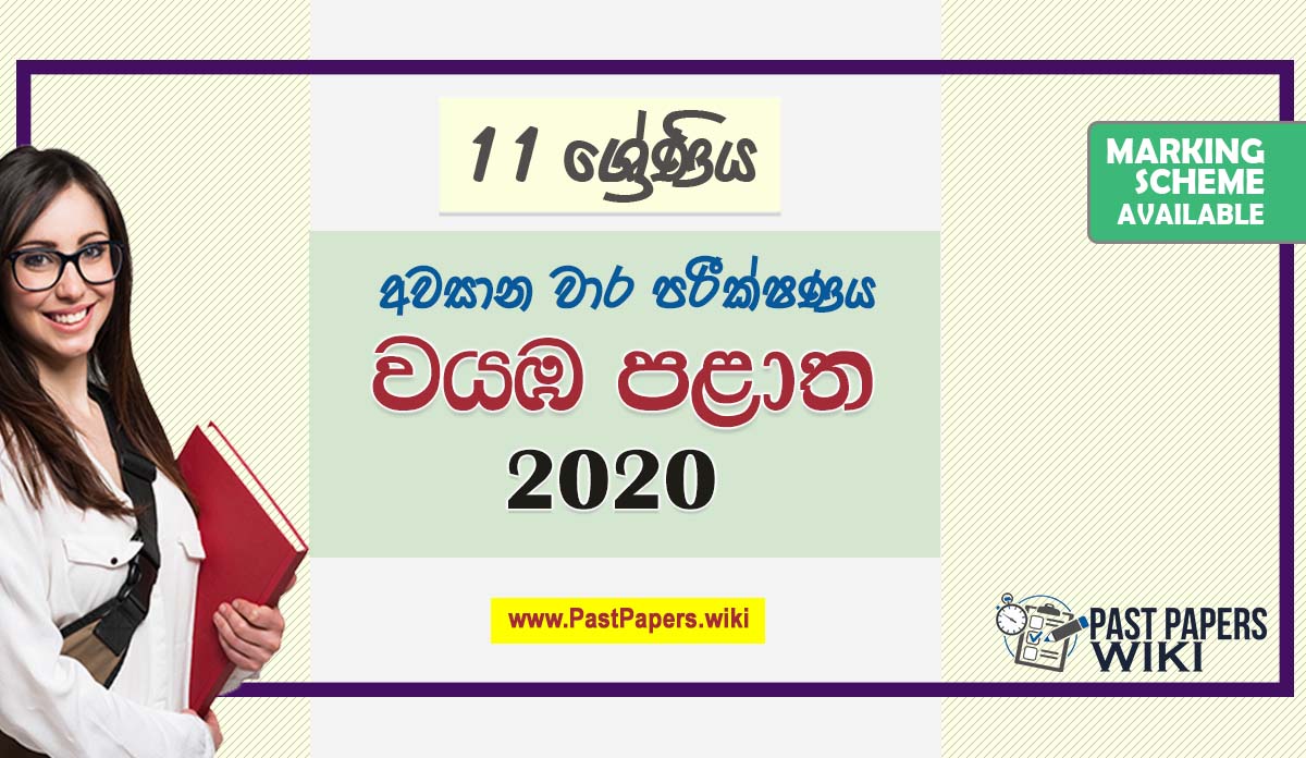 Third Term Test Papers 2020 | Grade 11 – North Western Province