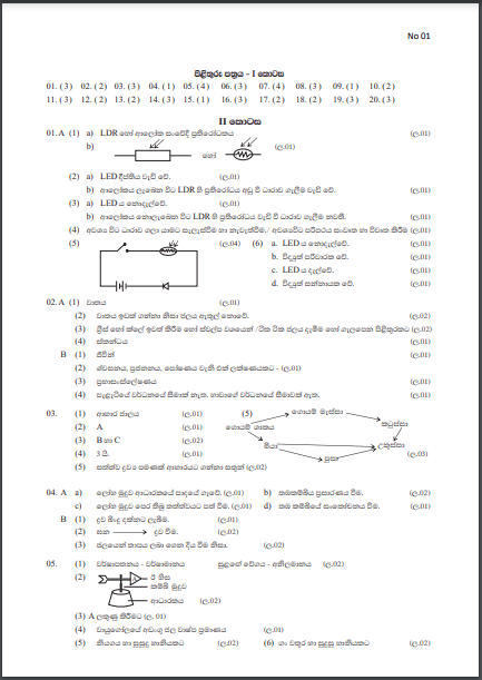 Grade 06 Science | 3rd Term Test (1) answers