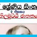 Download Grade 07 Sinhala  Unit 09 | Thilamutti jathakaya Tutorial