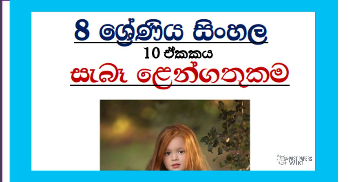 Grade 08 Sinhala Unit 10 | Sebe Lengathukama