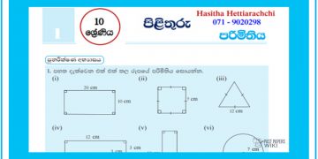 Grade 10 Mathematics Unit 01 | Perimeter Questions and Answers