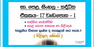 Grade 11 Sinhala Unit 17 | Thadditha Workbook (1)