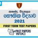 Ananda College Physics 1st Term Test paper 2021 - Grade 13