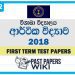 Visakha College Economics 1st Term Test paper 2018 - Grade 12