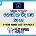 Visakha College Physics 1st Term Test paper 2018 - Grade 12