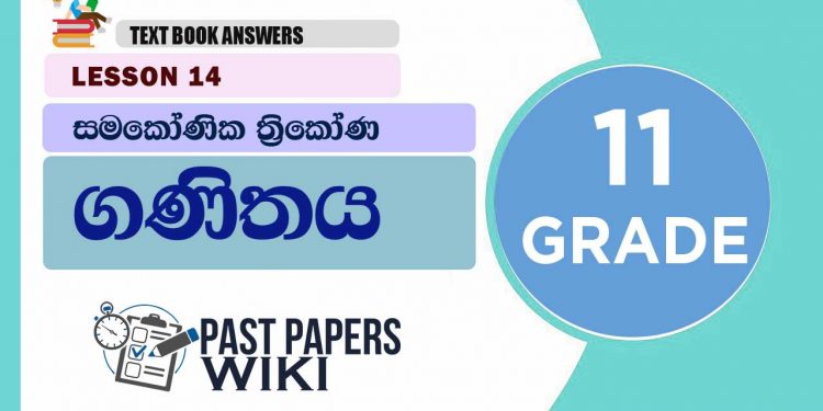 EQIANGULAR TRIANGLES (Samakoni Thrikona) | Grade 11 Maths Textbook Answers