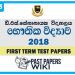D.S. Senanayake College Physics 1st Term Test paper 2018 - Grade 13