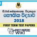 D.S. Senanayake College Physics 1st Term Test paper 2018 - Grade 12