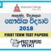 Nalanda College Physics 1st Term Test paper 2018 - Grade 12