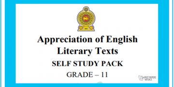 Grade 11 Study Pack – English Literature (01)