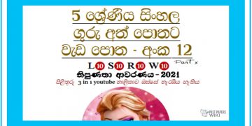 Grade 05 Sinhala | Workbook (12)