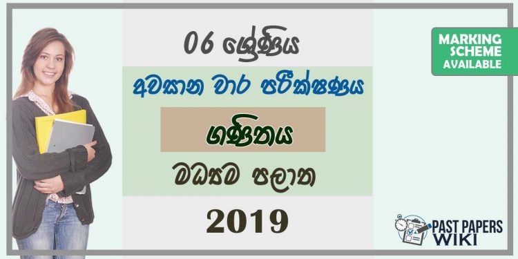 Grade 06 Mathematics 3rd Term Test Paper with Answers 2019 Sinhala Medium - Central Province