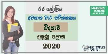 Grade 06 Science 3rd Term Test Paper with Answers 2020 Sinhala Medium - Southern Province
