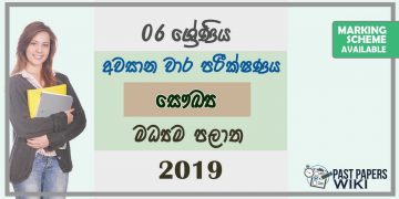 Grade 06 Health And Physical Education 3rd Term Test Paper with Answers 2019 Sinhala Medium - Central Province