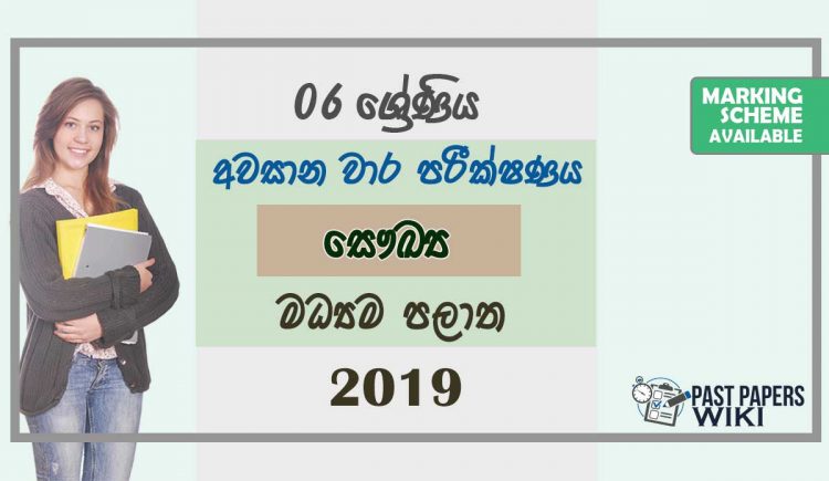 Grade 06 Health And Physical Education 3rd Term Test Paper with Answers 2019 Sinhala Medium - Central Province
