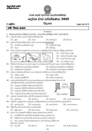 Grade 06 Science 2nd Term Test Paper with Answers 2019 Sinhala Medium - North western Province