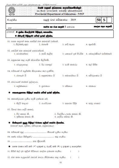 Grade 06 Drama 1st Term Test Paper with Answers 2019 Sinhala Medium - North Western Province