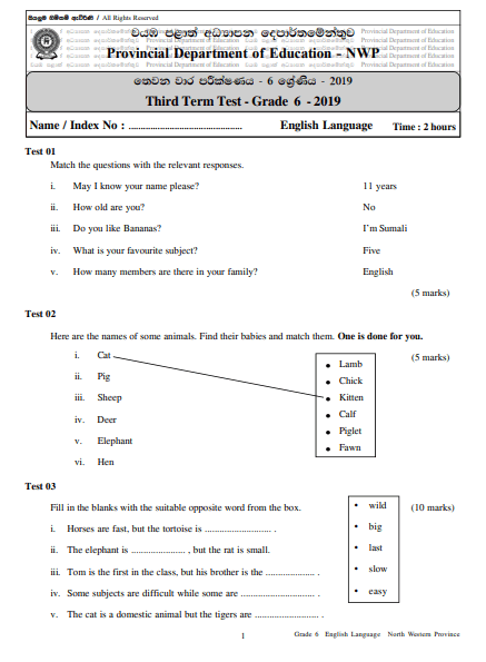 Grade 06 English 3rd Term Test Paper with Answers 2019 - North Western Province