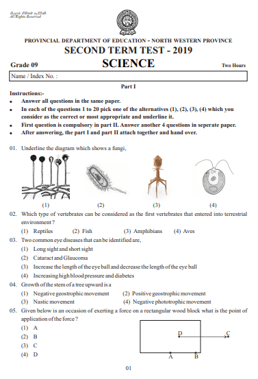 Grade 09 Science 2nd Term Test Paper 2019 English Medium – North Western Province