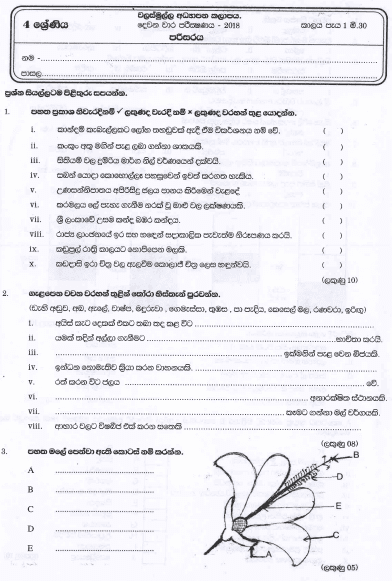 Grade 04 Environment 2nd Term Test Paper 2018 Sinhala Medium – Walasmulla Zone