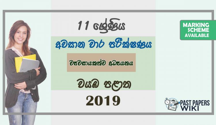 Grade 11 Entrepreneurship Studies 3rd Term Test Paper with Answers 2019 Sinhala Medium - North western Province