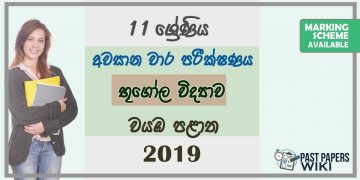 Grade 11 Geography 3rd Term Test Paper with Answers 2019 Sinhala Medium - North western Province