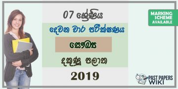 Grade 07 Health 2nd Term Test Paper 2019 Sinhala Medium – Southern Province