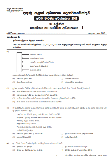 Grade 10 Health And Physical Education 2nd Term Test Paper with Answers 2019 Sinhala Medium - Southern Province