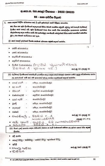 2022(2023) A/L Home Economics Marking Scheme | Sinhala Medium