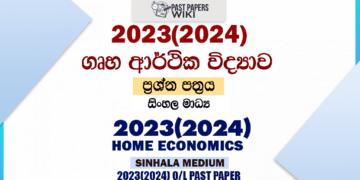 2023(2024) OL Home Economics Past Paper and Answers