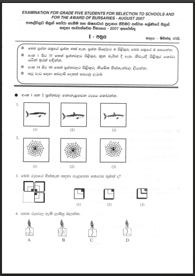 Grade 5 Scholarship Exam Past Paper 2007 | Sinhala Medium