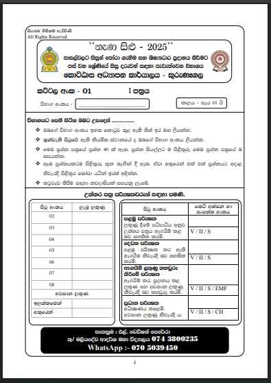 Nena Silu 2025 Grade 5 Scholarship Model Paper 01 