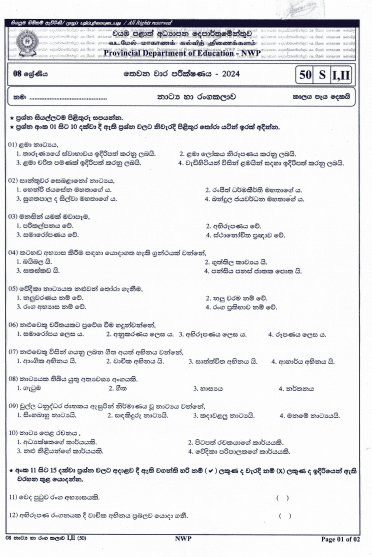 North Western Province 2024 Grade 08 Drama Third Term Test Paper PDF with Answers in Sinhala Medium