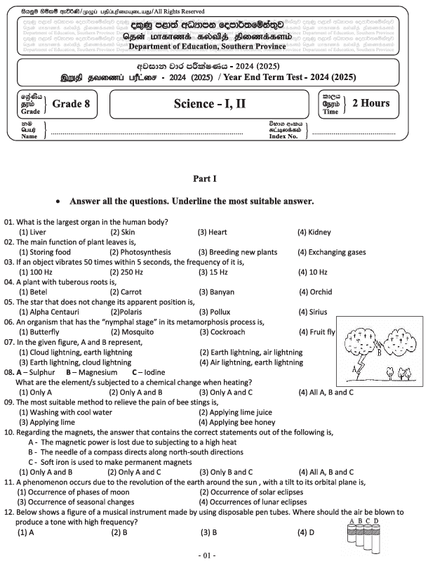 Southern Province 2024 Grade 08 Science Third Term Test Paper PDF in English Medium