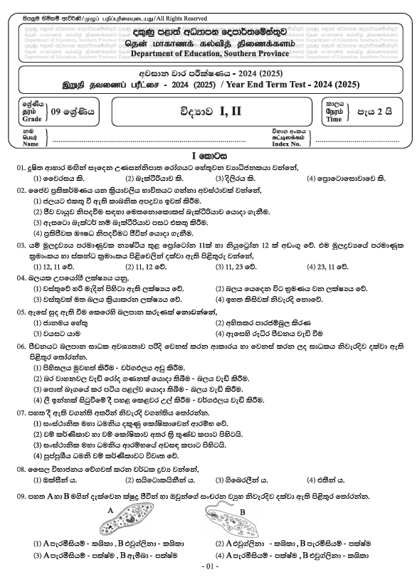 Southern Province 2024 Grade 09 Science Third Term Test Paper PDF In Sinhala Medium