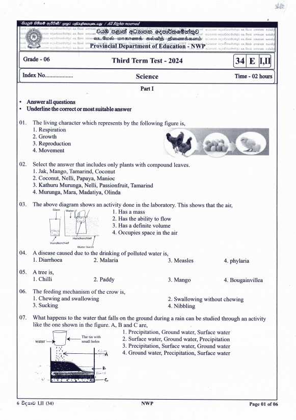 North Western Province 2024 Grade 06 Science Third Term Test Paper PDF with Answers in English Medium