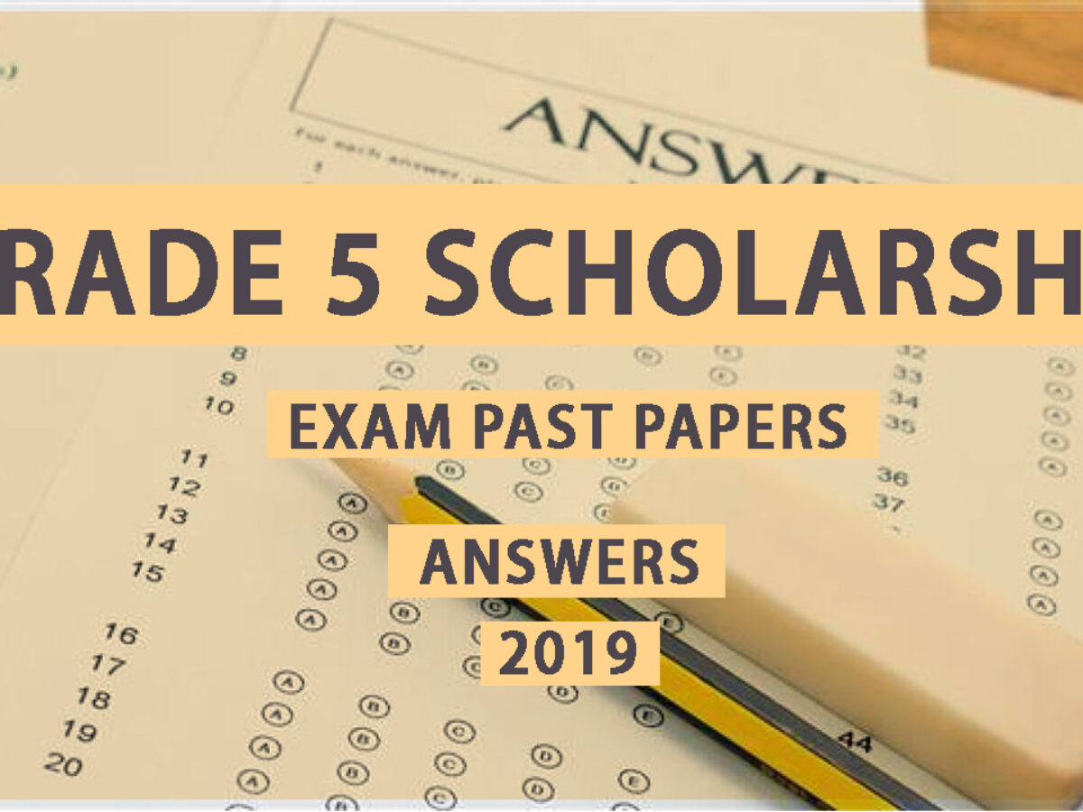 grade 5 scholarship exam past paper 2019 answers in tamil medium