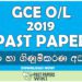 2019 O/L Business & Accounting Studies Past Paper | Sinhala Medium