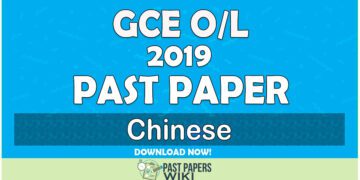 2019 O/L Chinese Past Paper | English Medium