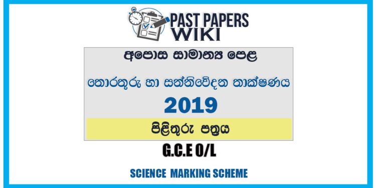 2019 O/L Information & Communication Technology Marking Scheme | Sinhala Medium
